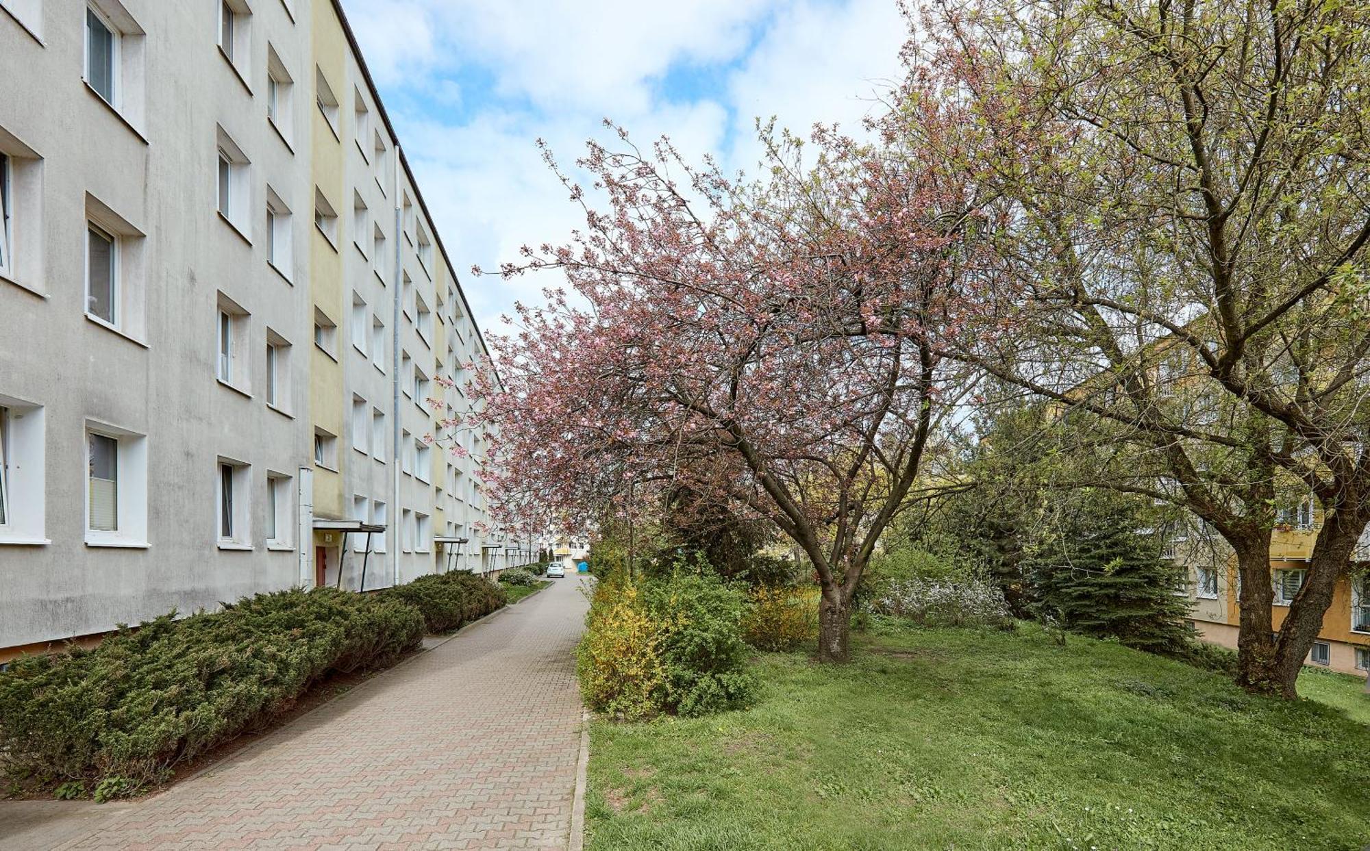 Pod Lipami Homely Apartament Poznań